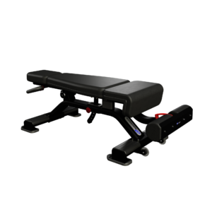 Adjustable Decline Bench – ספסל אימונים מקצועי